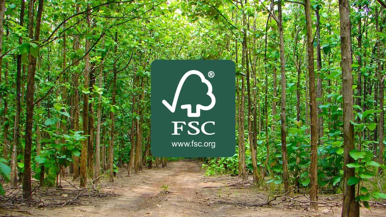 Exploring FSC Certification A Simple Guide for Beginners Adhityo
